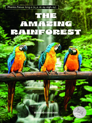 cover image of The Amazing Rainforest